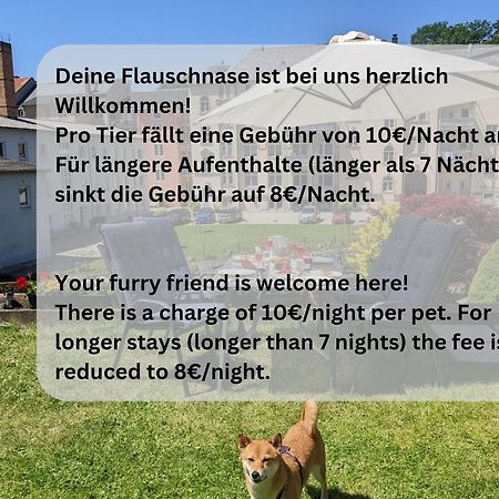 F4 - Urlaubsmagie - Grosse Wohnung Fuer Bis Zu 10 Personen Sebnitz Esterno foto