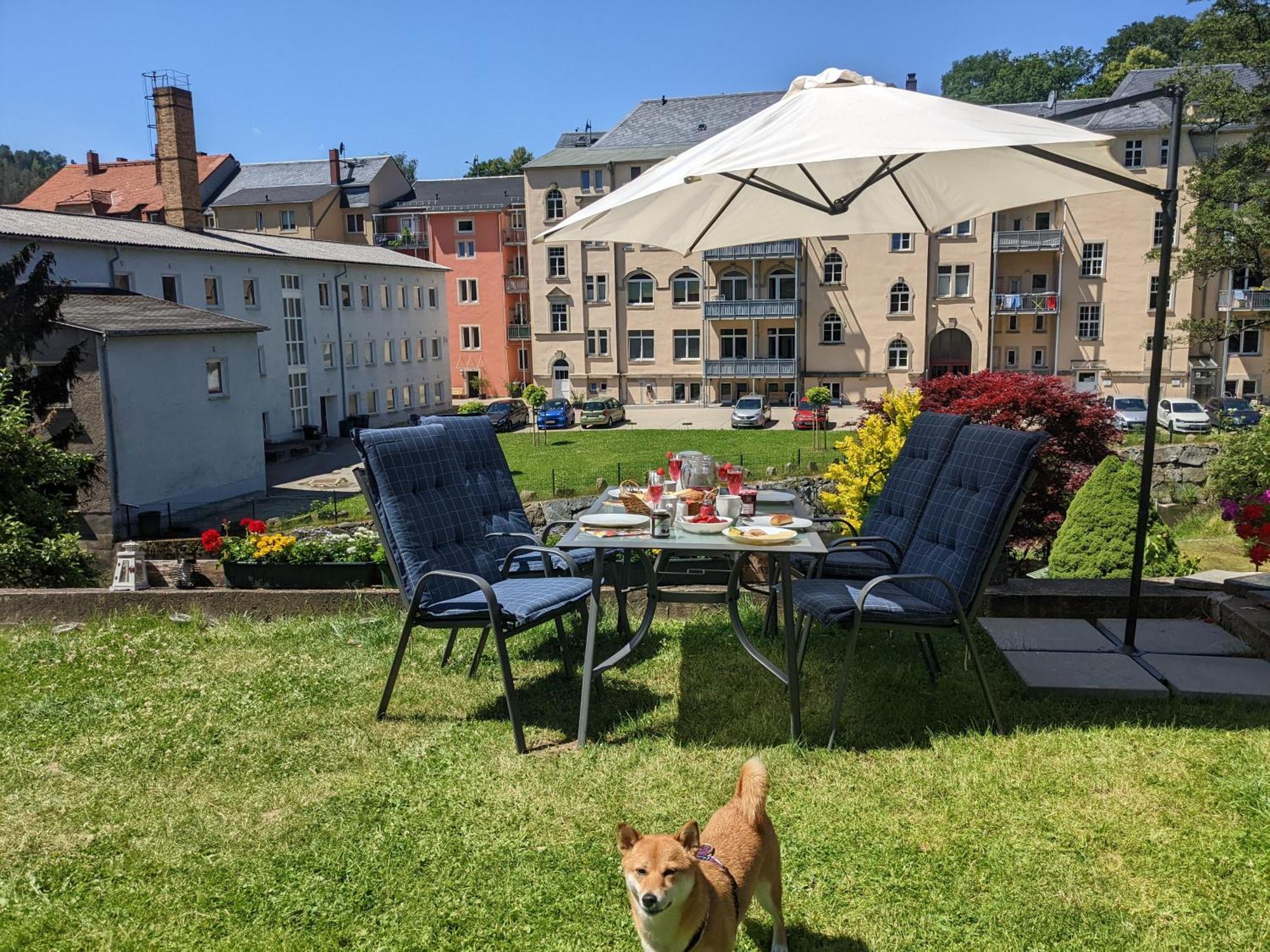 F4 - Urlaubsmagie - Grosse Wohnung Fuer Bis Zu 10 Personen Sebnitz Esterno foto