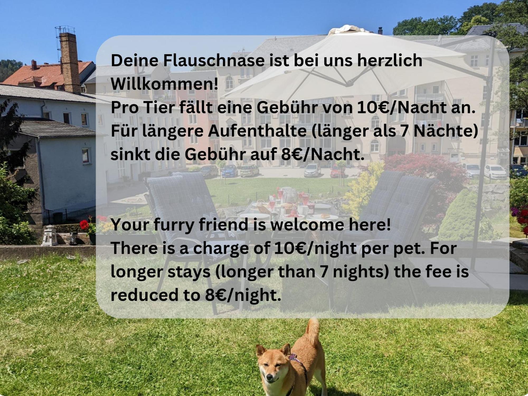 F4 - Urlaubsmagie - Grosse Wohnung Fuer Bis Zu 10 Personen Sebnitz Esterno foto